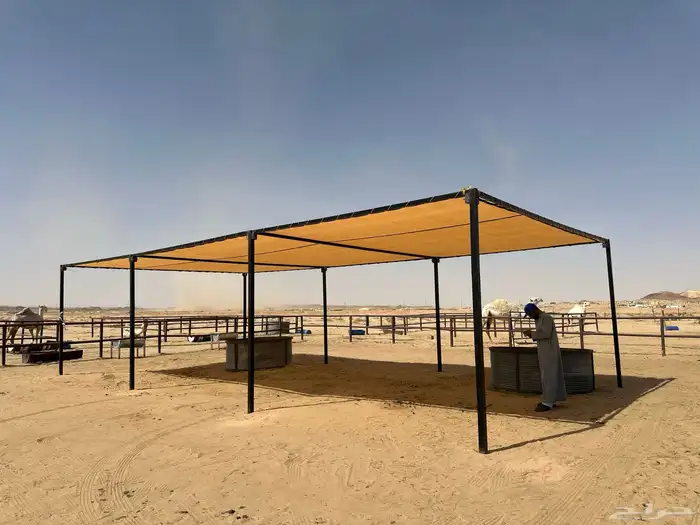 مضلات الابل مضلات غنم شبوك ابل شبوك غنم 5