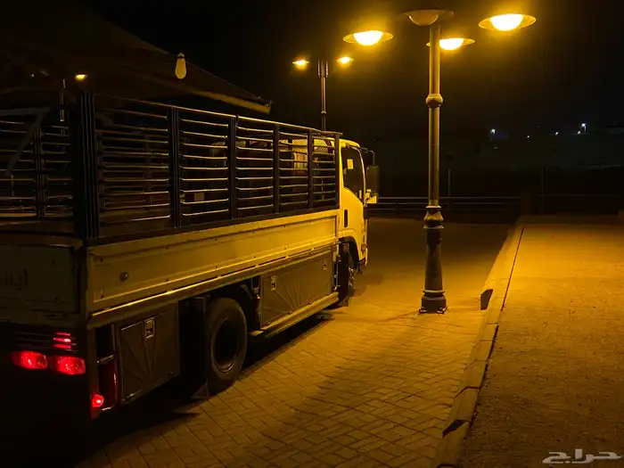 تبوك ديانه دينه دنه صندوق شبك 0