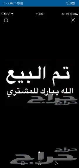 مشروع فحل تيس ابيض 3
