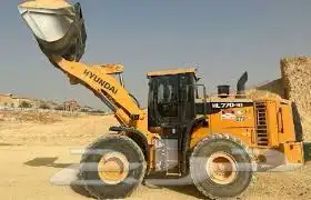 سواق شيول باكستاني 0