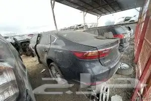 كادينزا 2018 0