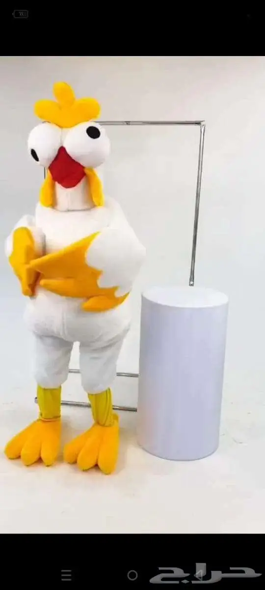 ديك_ملون 0