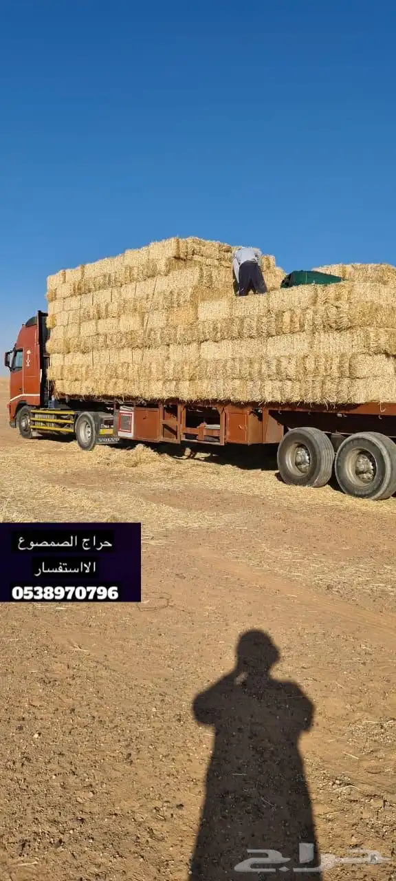 تبن قمح 0