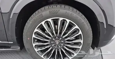 باليسيد كاليجرافي 2022 5