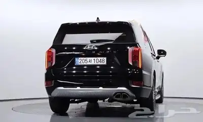 باليسيد كاليجرافي 2022 3