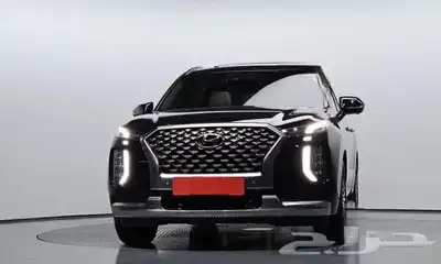 باليسيد كاليجرافي 2022 2