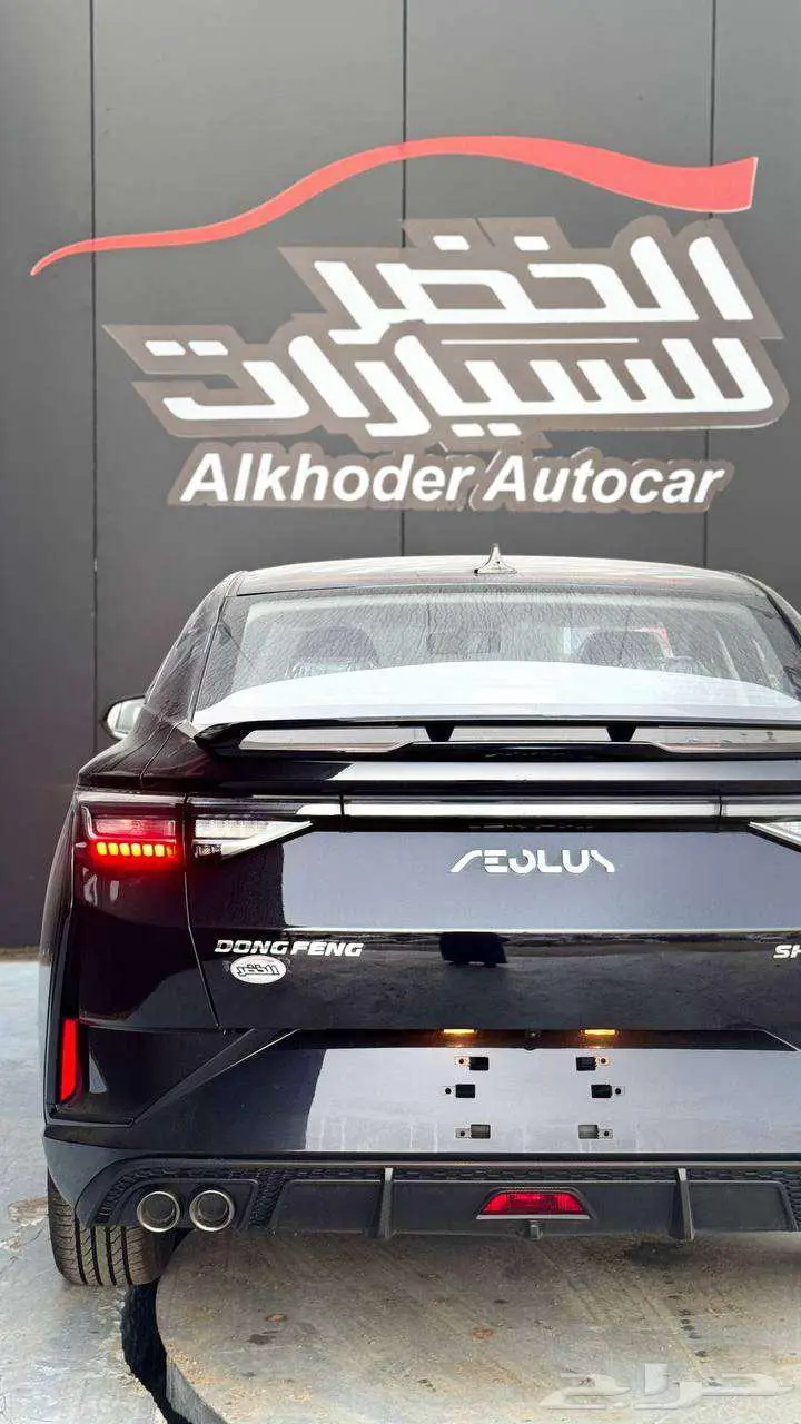 دونج فينج شاين 2025 - الخضر للسيارات - خريص 11
