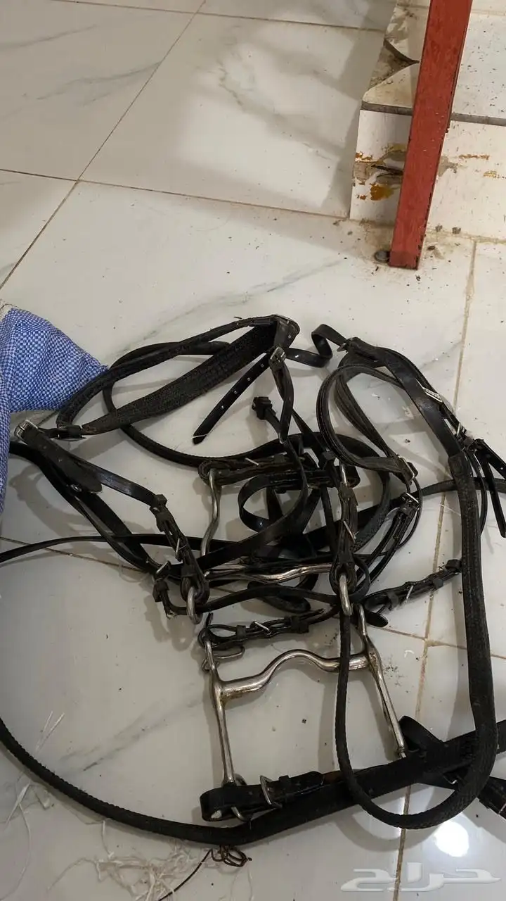 اغراض خيل 5