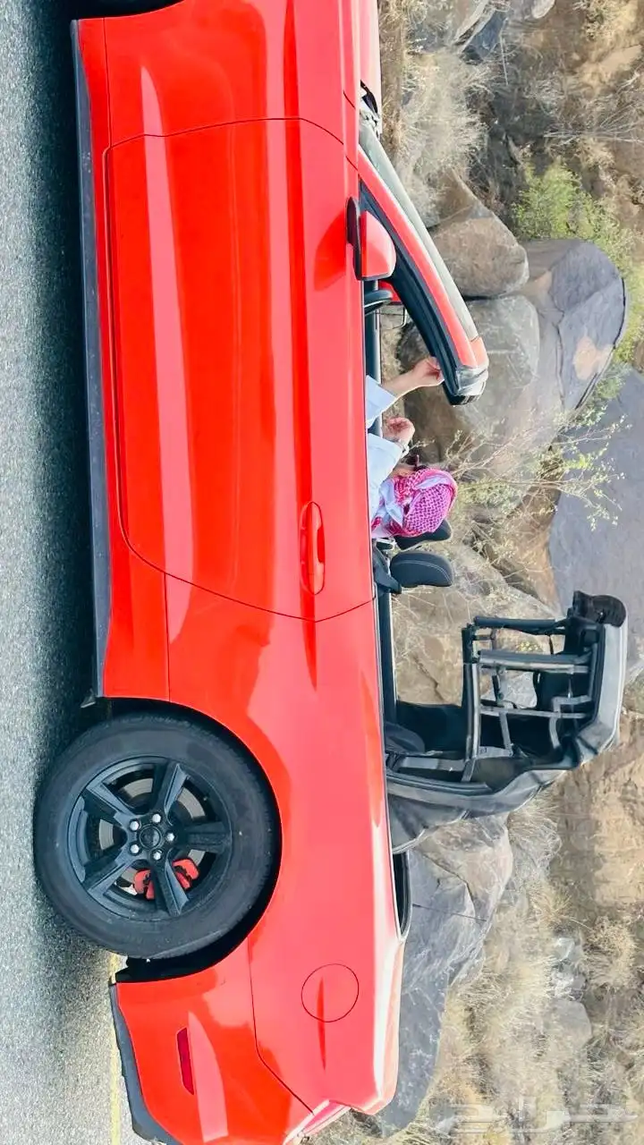 موستنق 2015 96