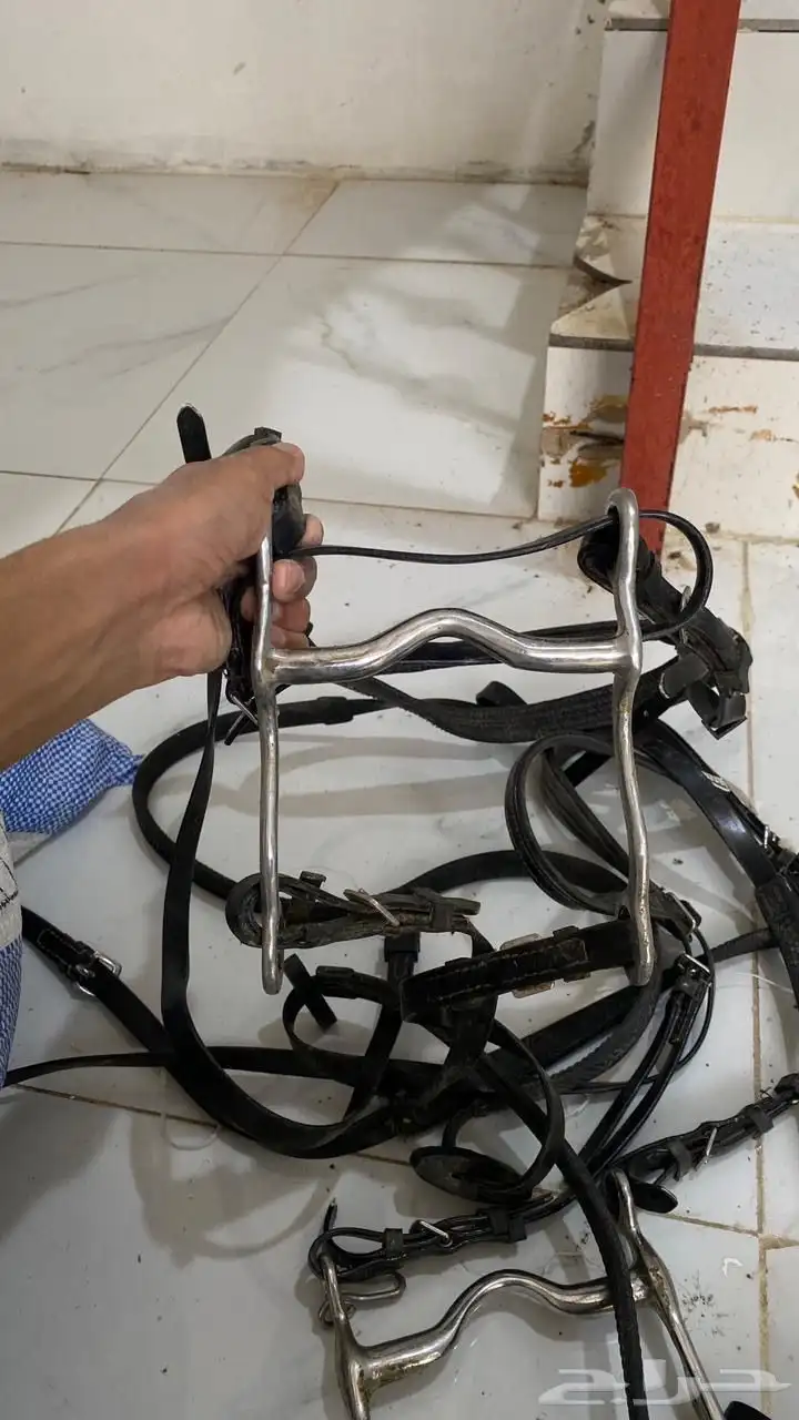 اغراض خيل 6