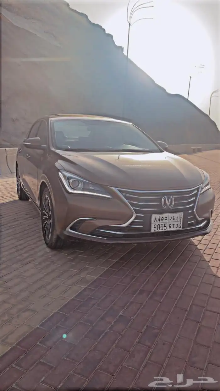 شأن جان ايدو 2019 5