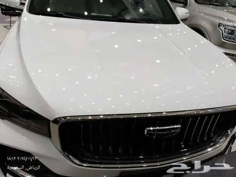 جيلى منجارو فل -2025 1