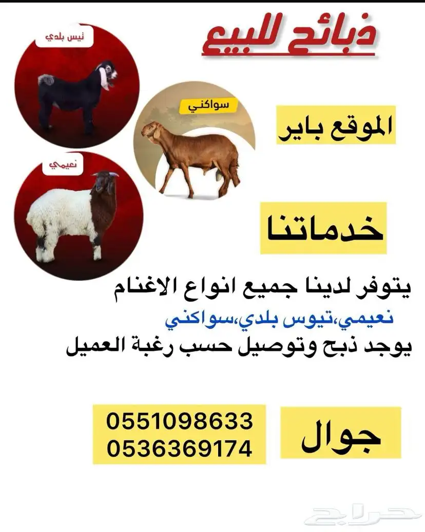 ذبايح للبيع 0