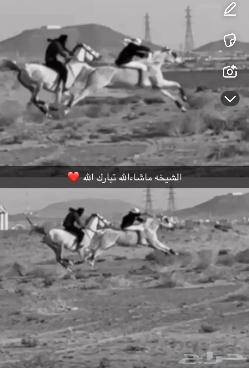فرس شعبيه 6
