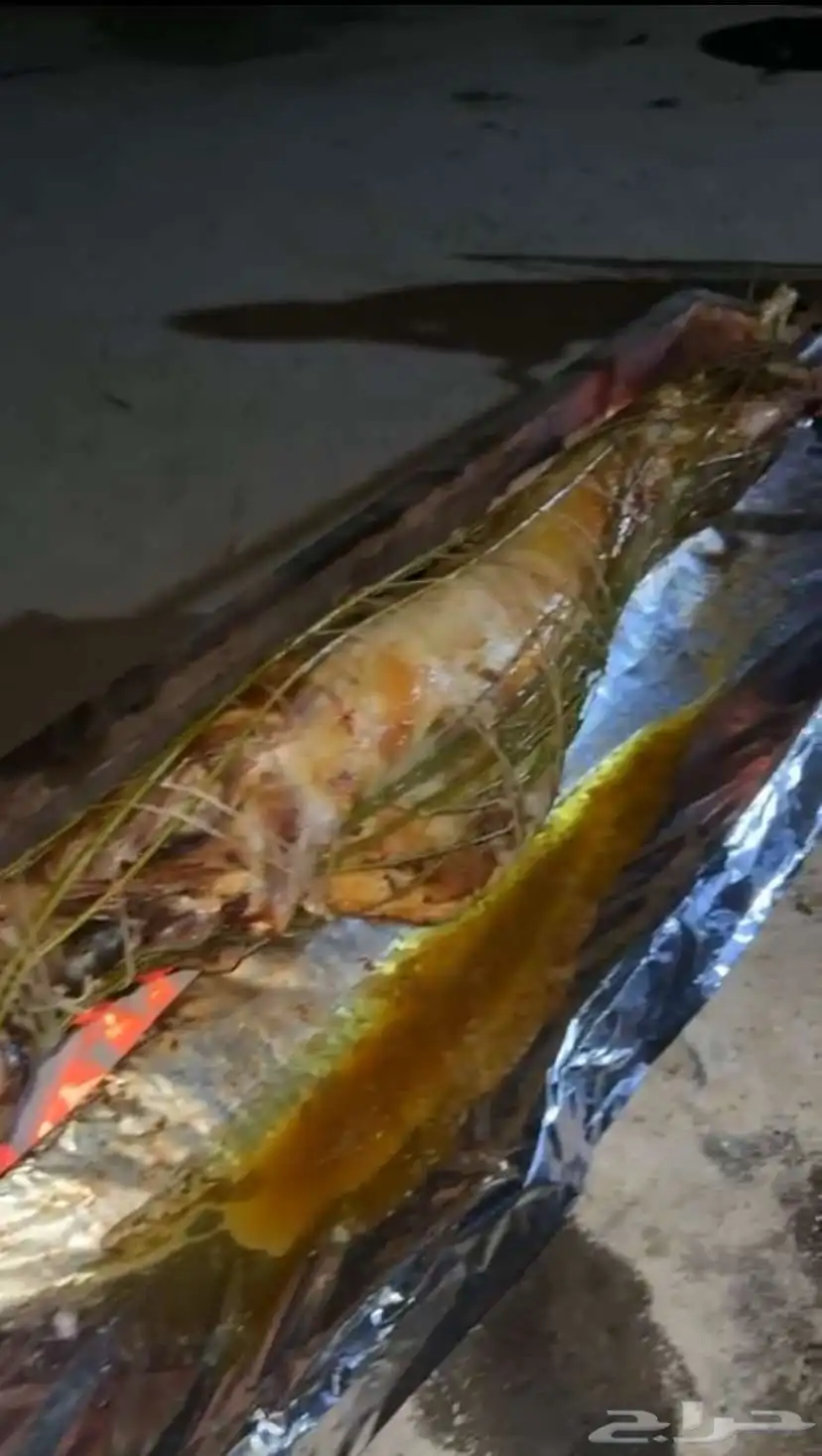 خروف الشواية 4