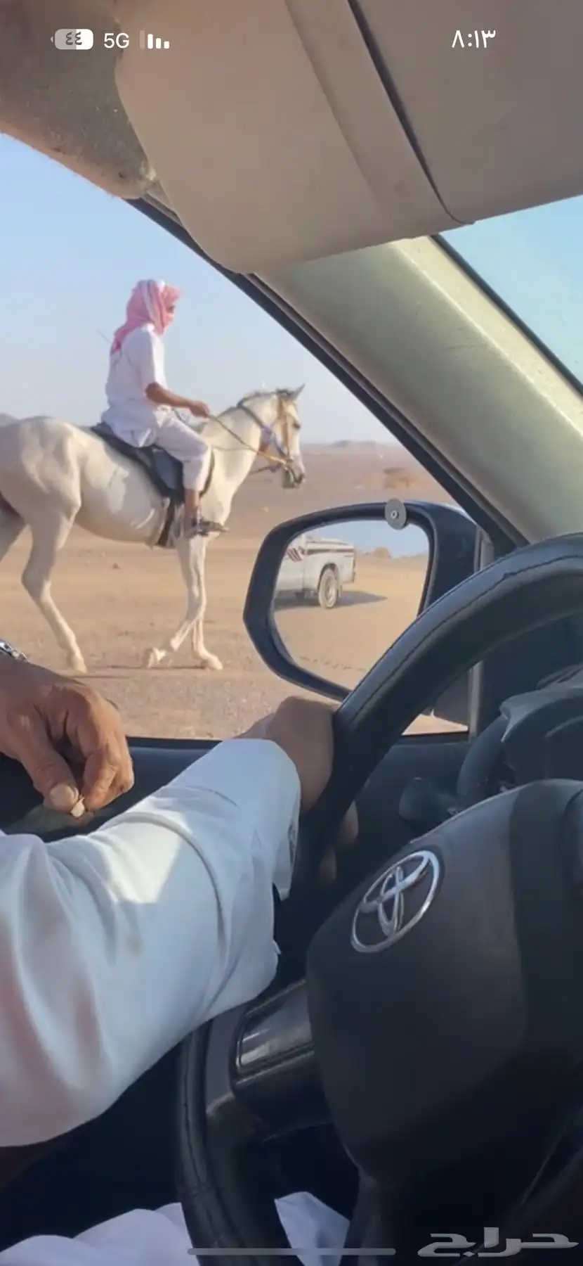 خيل 2
