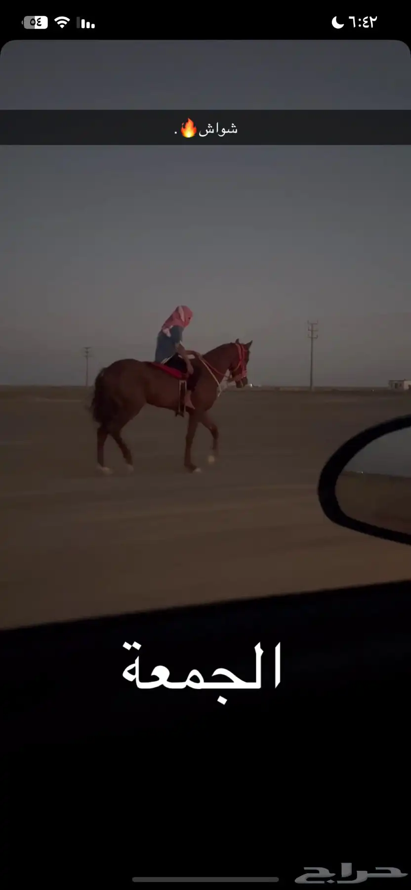 حصان للبيع 0