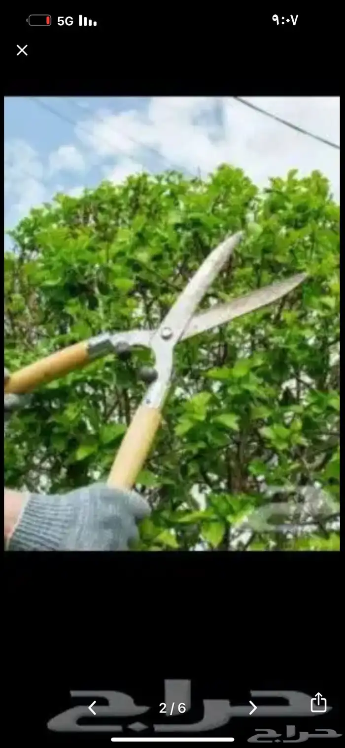 قص شجر ونخل 0