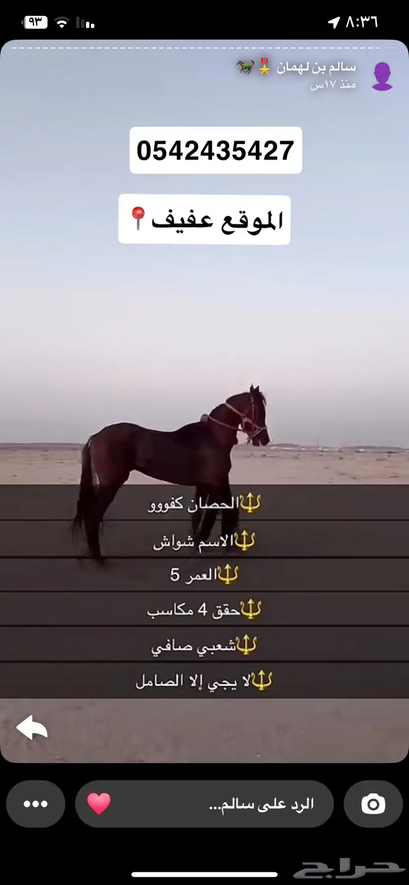 حصان للبيع 2