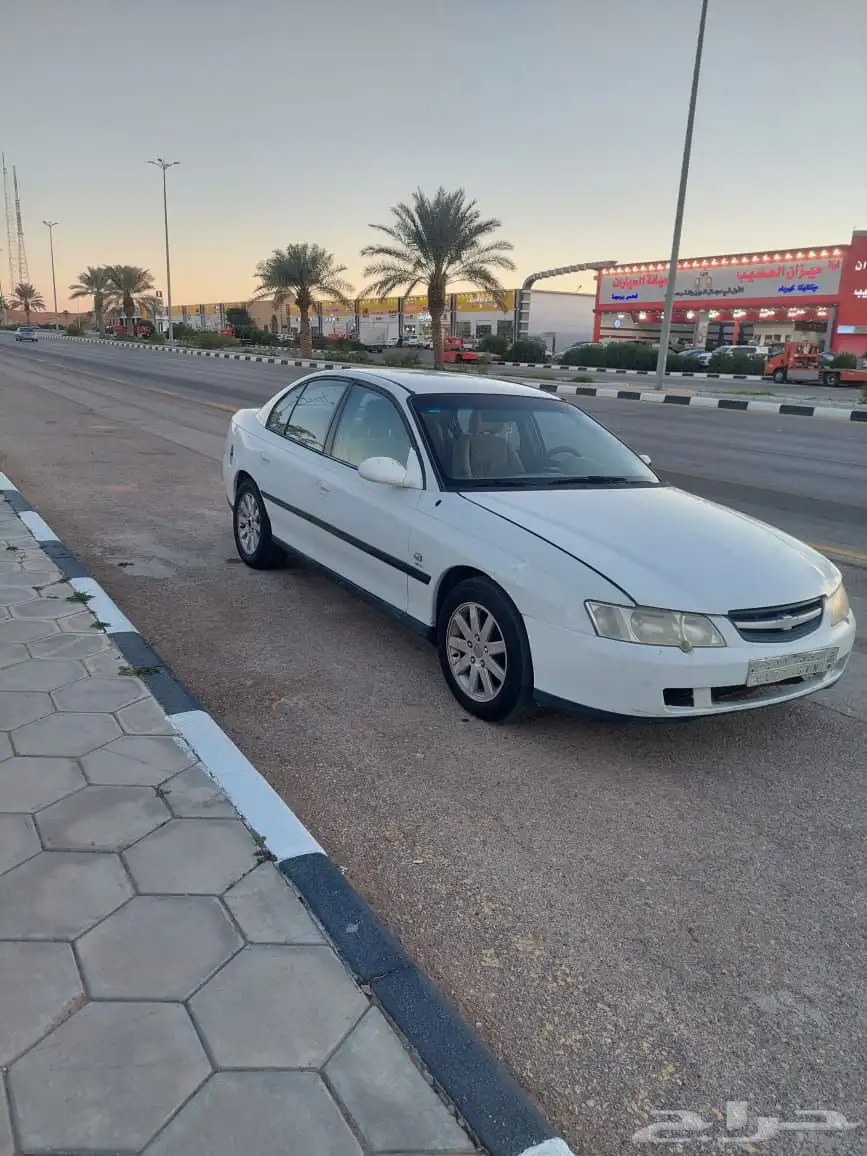 لومينا 2003 4