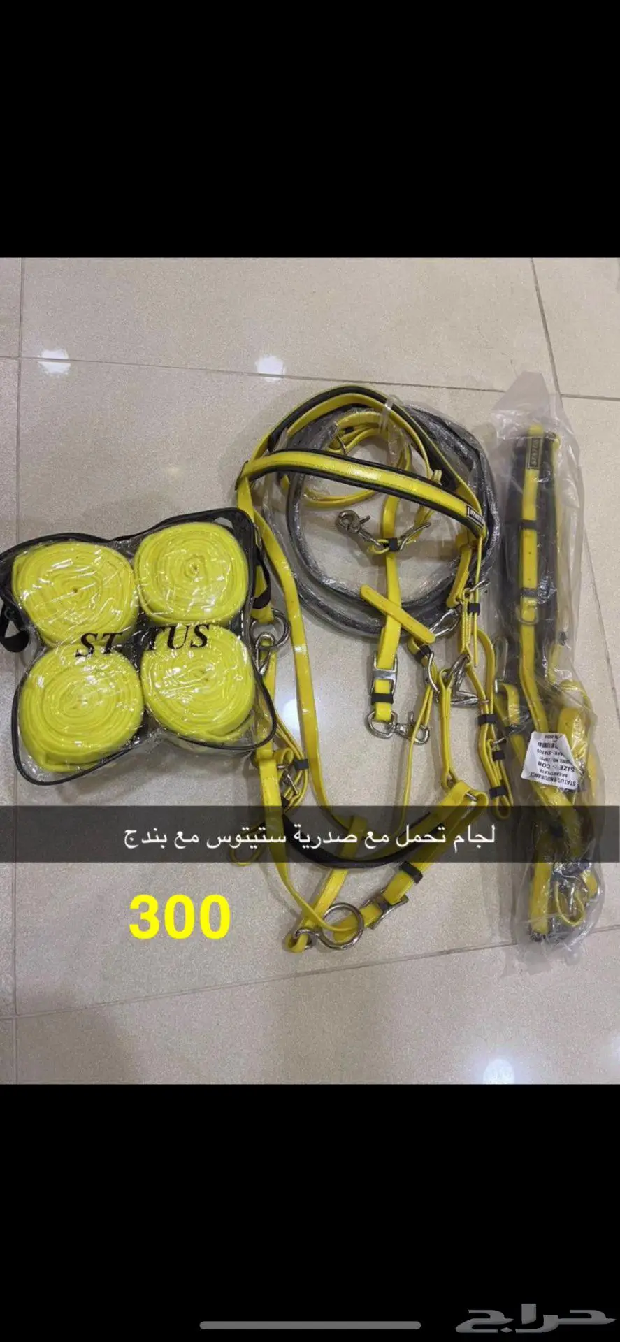 مستلزمات خيل 8