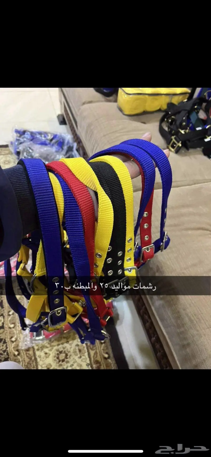 مستلزمات خيل 9