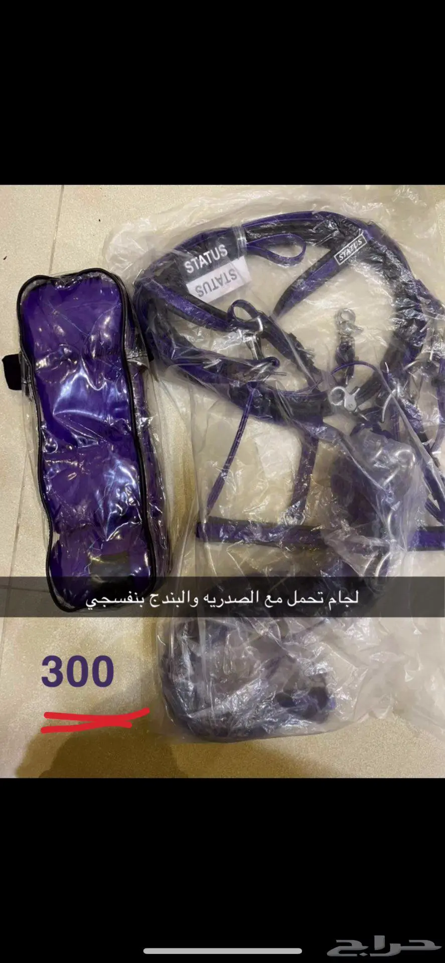 مستلزمات خيل 11
