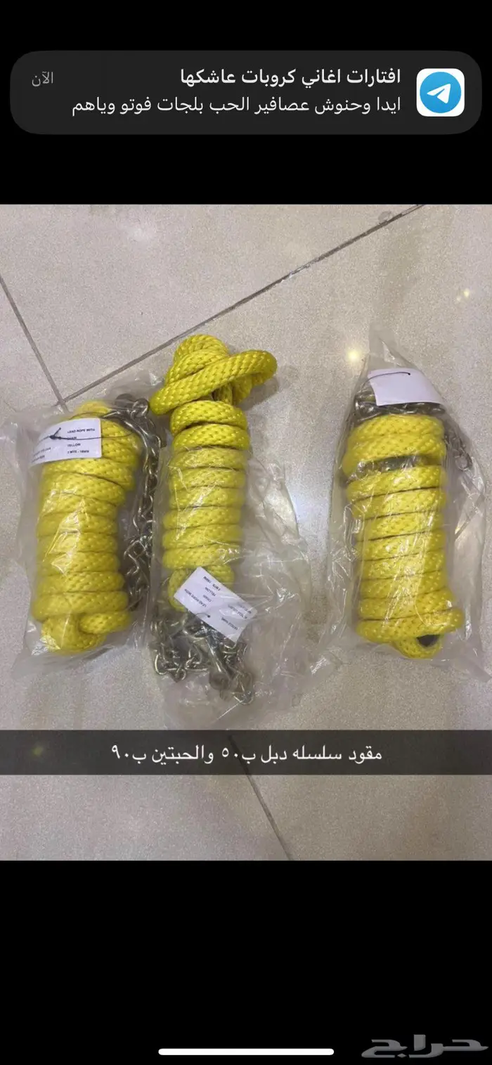 مستلزمات خيل 7