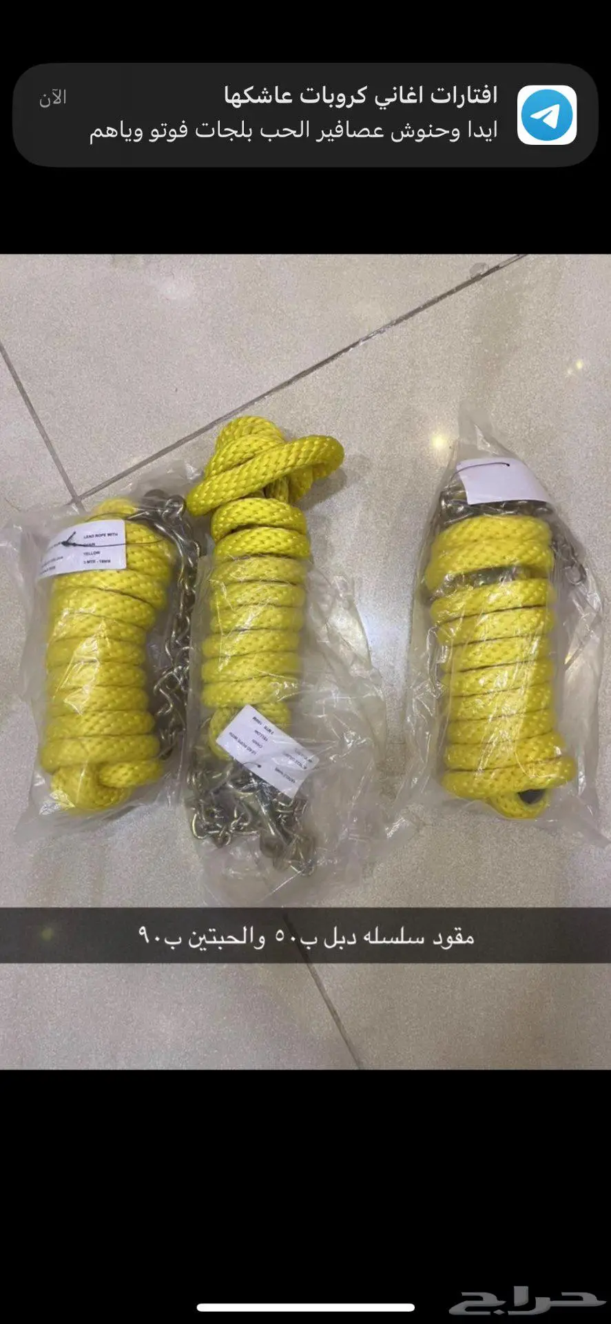 مستلزمات خيل 7