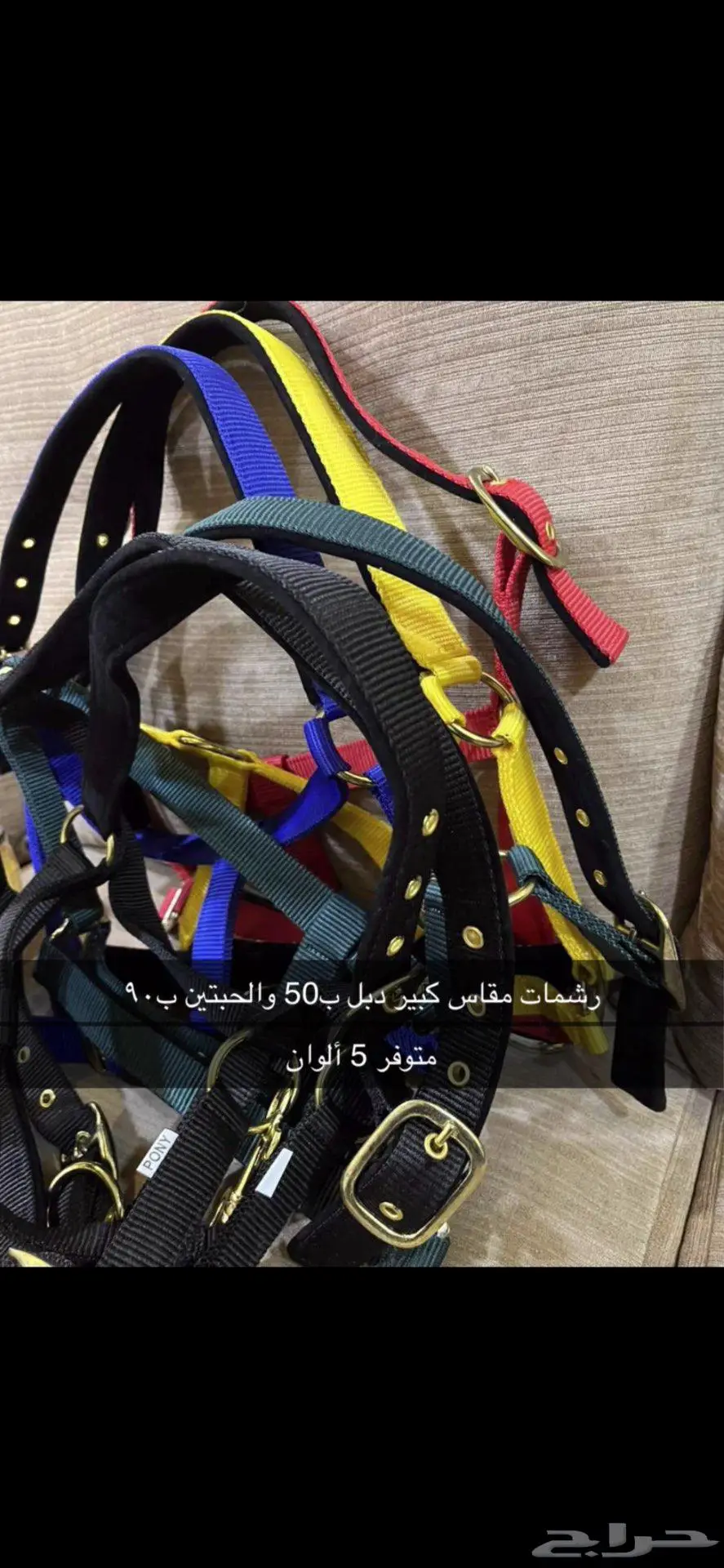 مستلزمات خيل 13
