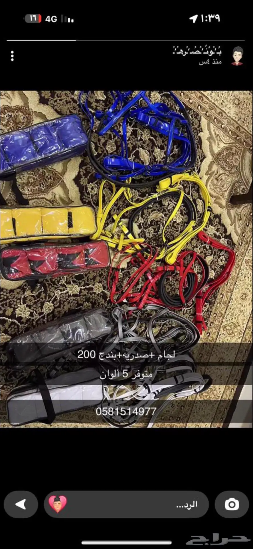 مستلزمات خيل 15