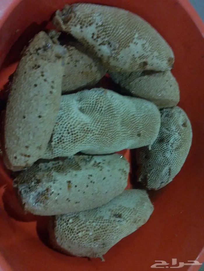 عسل بري حر لايتدخل فيه الانسان 0