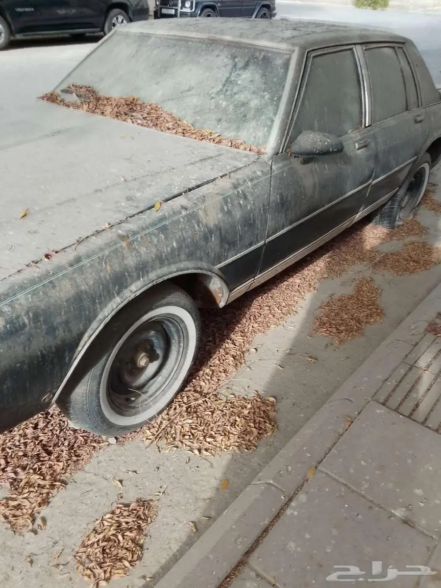 كابرس 87 12