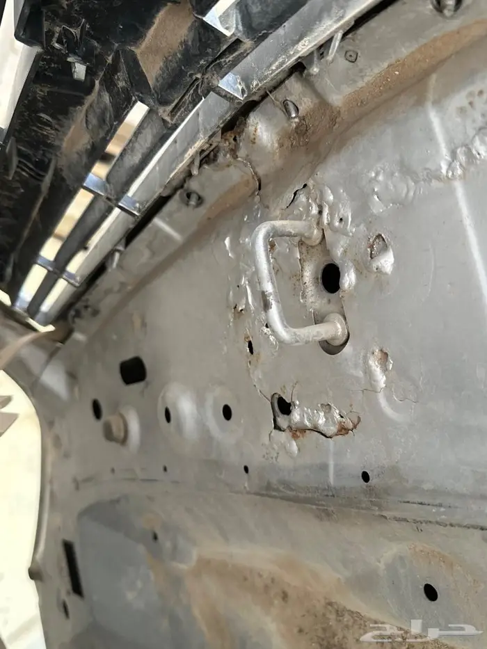 كبوت كابرس غطا كبوت 2016 2007 2