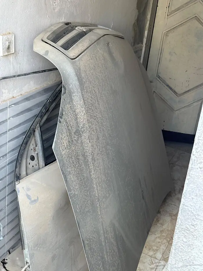 كبوت كابرس غطا كبوت 2016 2007 0