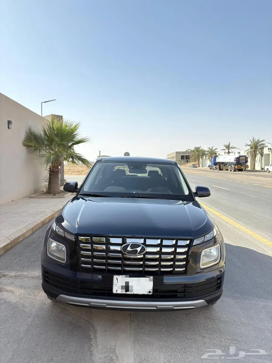 فينو 2023 0