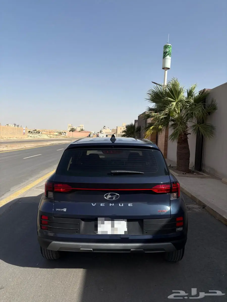 فينو 2023 3