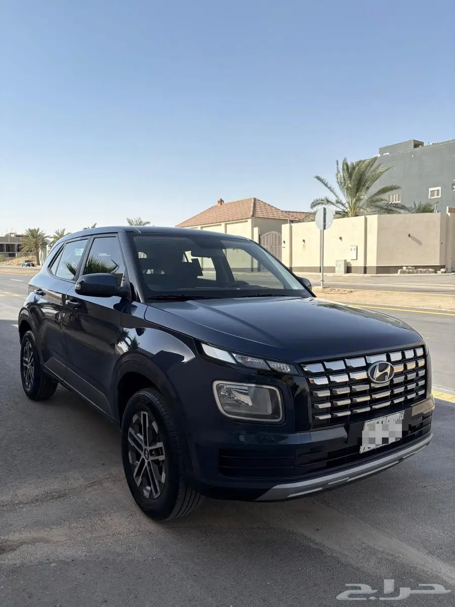 فينو 2023 1