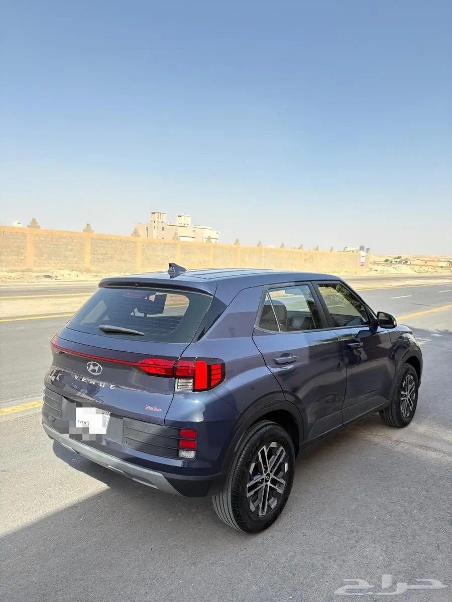 فينو 2023 4