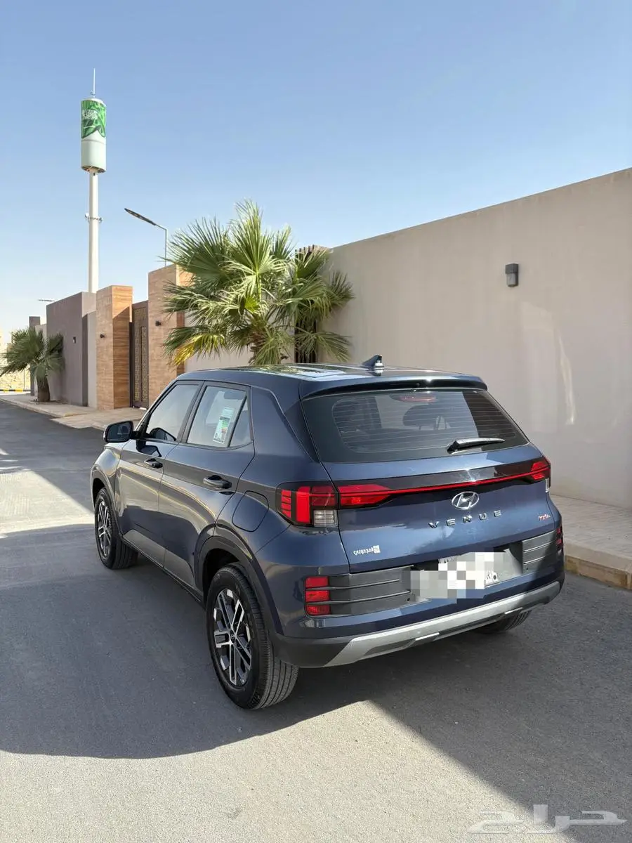 فينو 2023 6