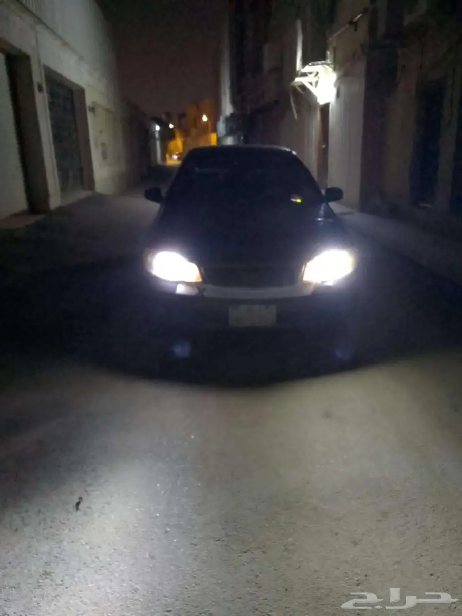 Sunny صني 3