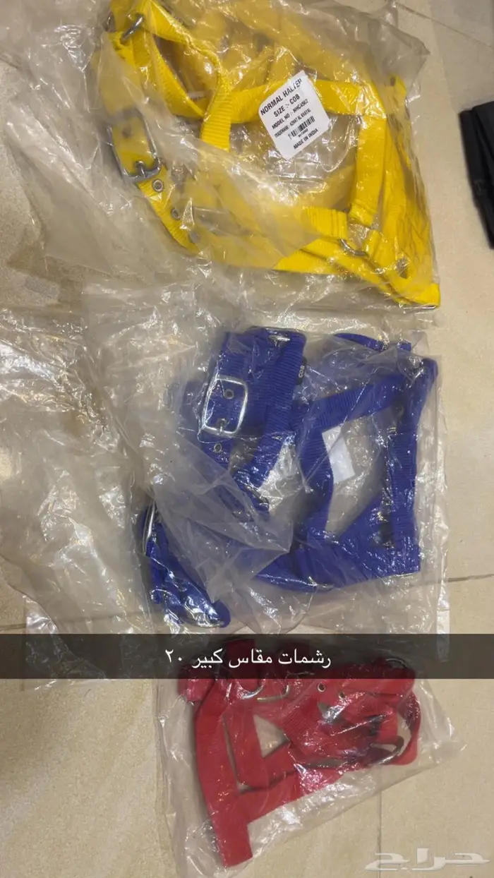 مستلزمات خيل 22