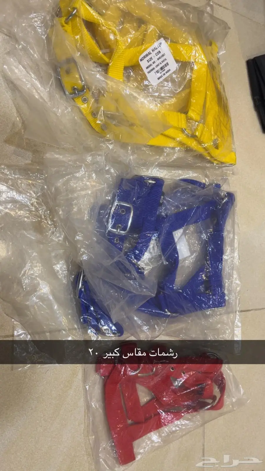 مستلزمات خيل 22