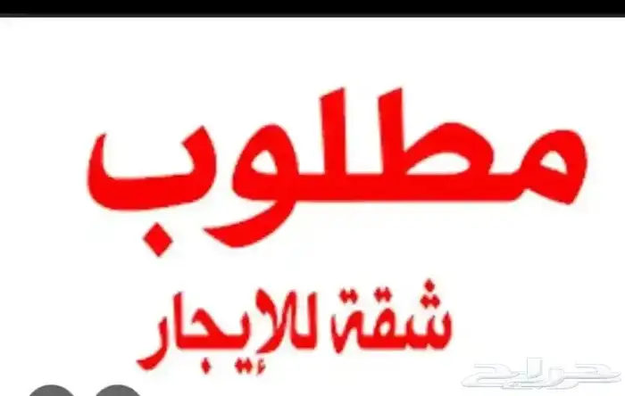 ابحث عن شقة للايجار حي نظيف وجيران طيبه بمبلغ لا يتعدا 15 0
