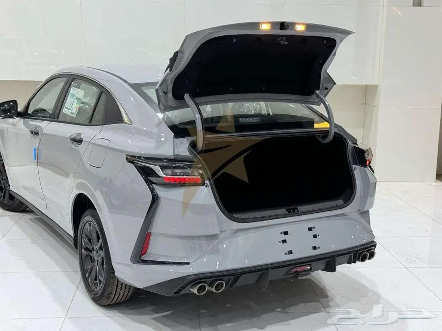 دونج فينج شاين E1 2025 15