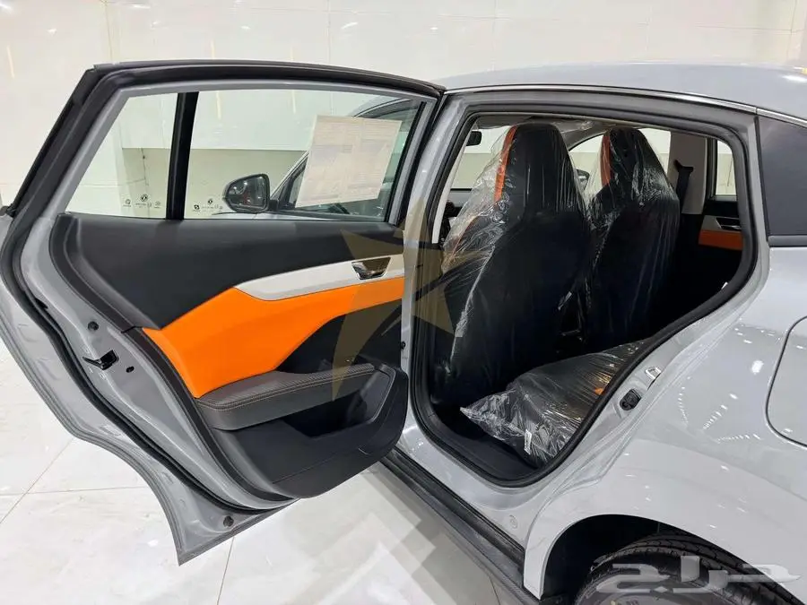 دونج فينج شاين E1 2025 14