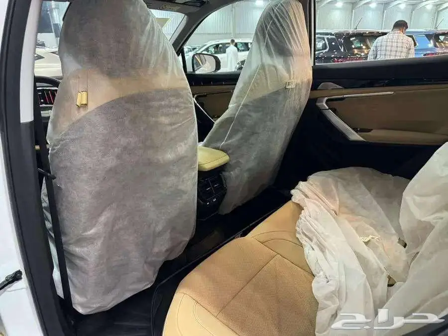 جيلي ستار راي 2024 GF 5