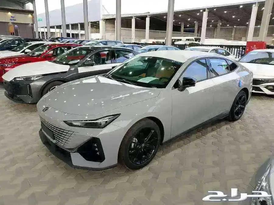 شانجان يوني في 2026 ( سبورت - اليت ) 8