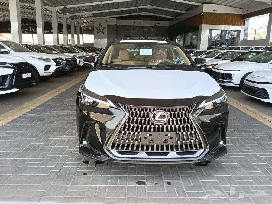 لكزس (NX 350 AA) م 2025 - سعودي 2