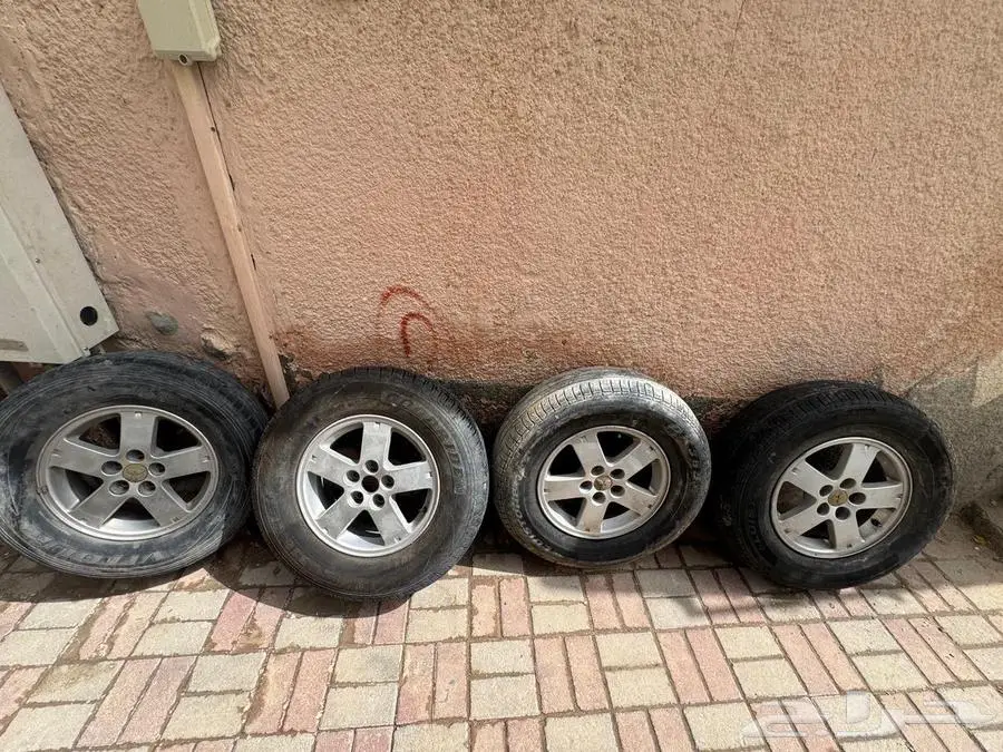 جنوط مستوبيشي 1
